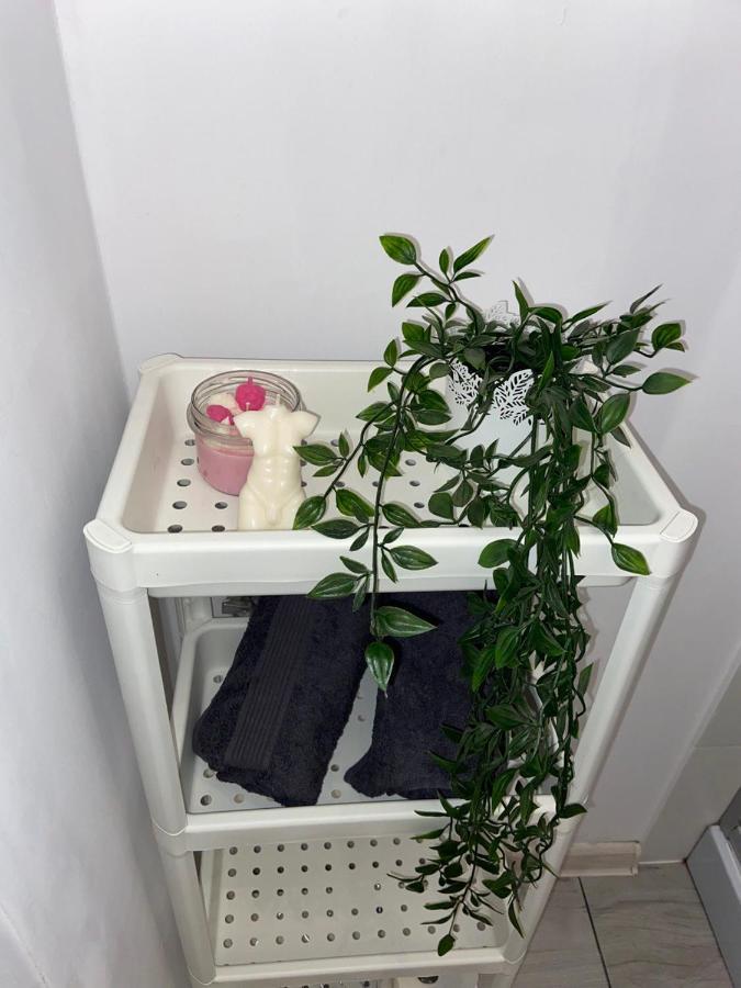 Apartament Grunwaldzka ビィドゴシュチュ エクステリア 写真